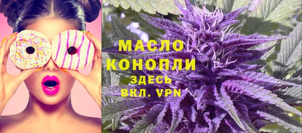 твердый Володарск