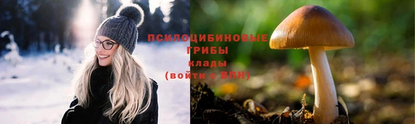 мяу мяу мука Волоколамск