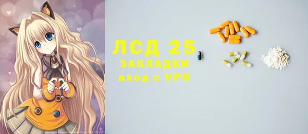 твердый Володарск