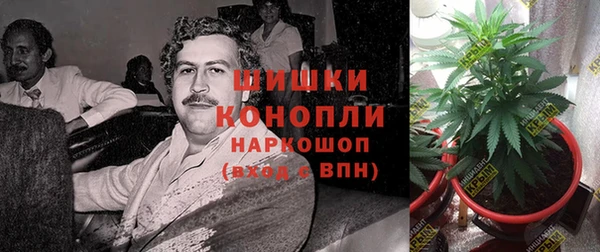 твердый Володарск