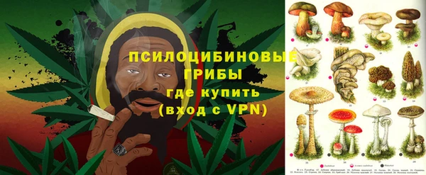 твердый Володарск