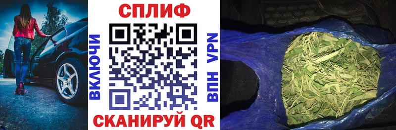 Каннабис MAZAR  MEGA как зайти  Черкесск 